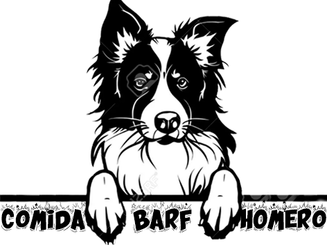 comidabarfhomero.com
